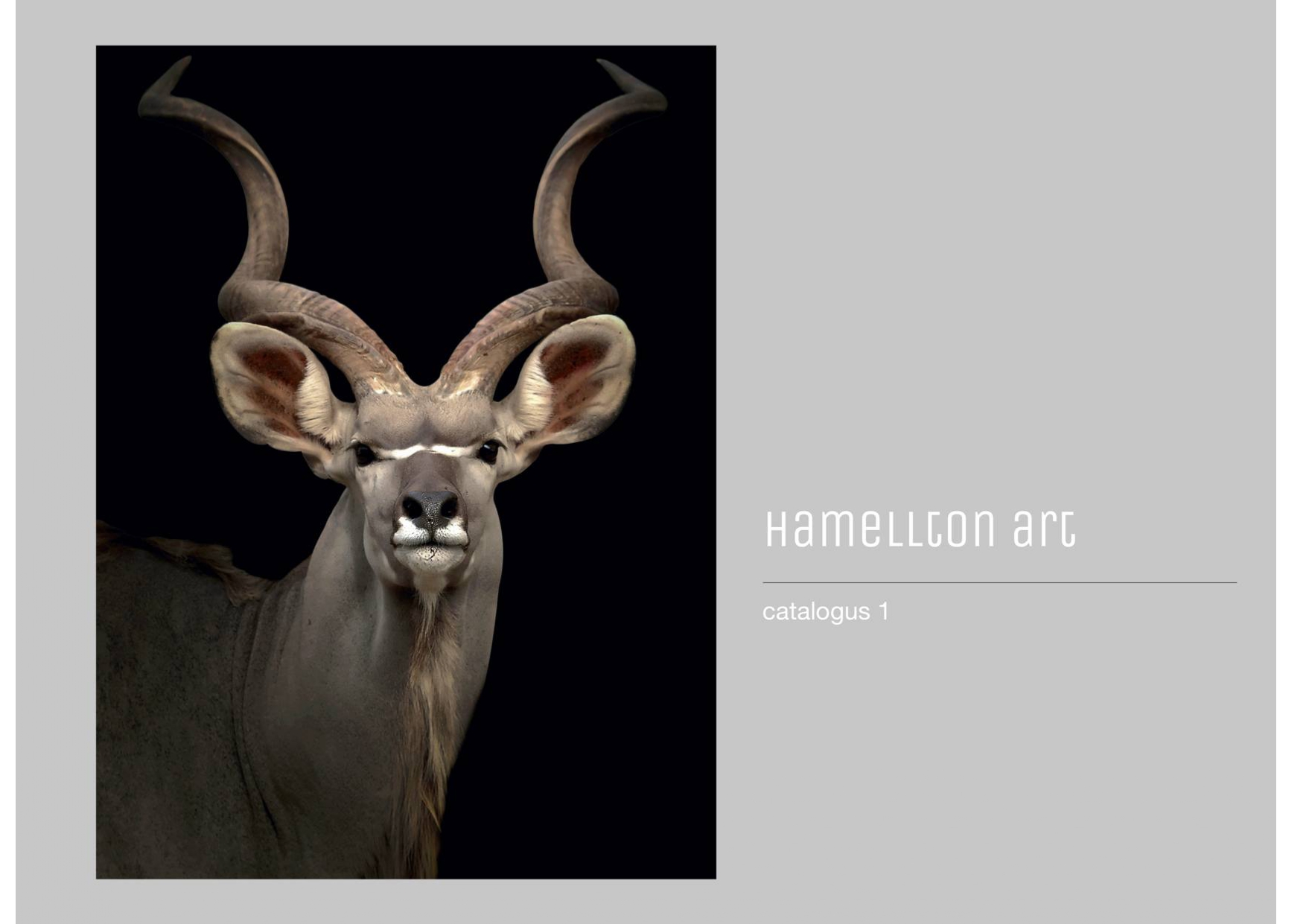 HAMELLTON ART Cat 1 2 pdf.io page 0001