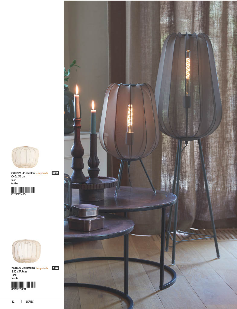 1741429177551 1f531b07 172f 49bc 9fb8 4905bac9db7f 5